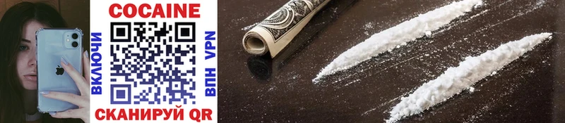 Купить закладки  Гусиноозёрск  КОКАИН FishScale 