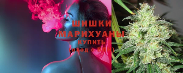 ECSTASY Заводоуковск