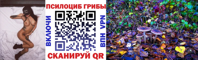 Псилоцибиновые грибы прущие грибы  Купить закладки  Гусиноозёрск 